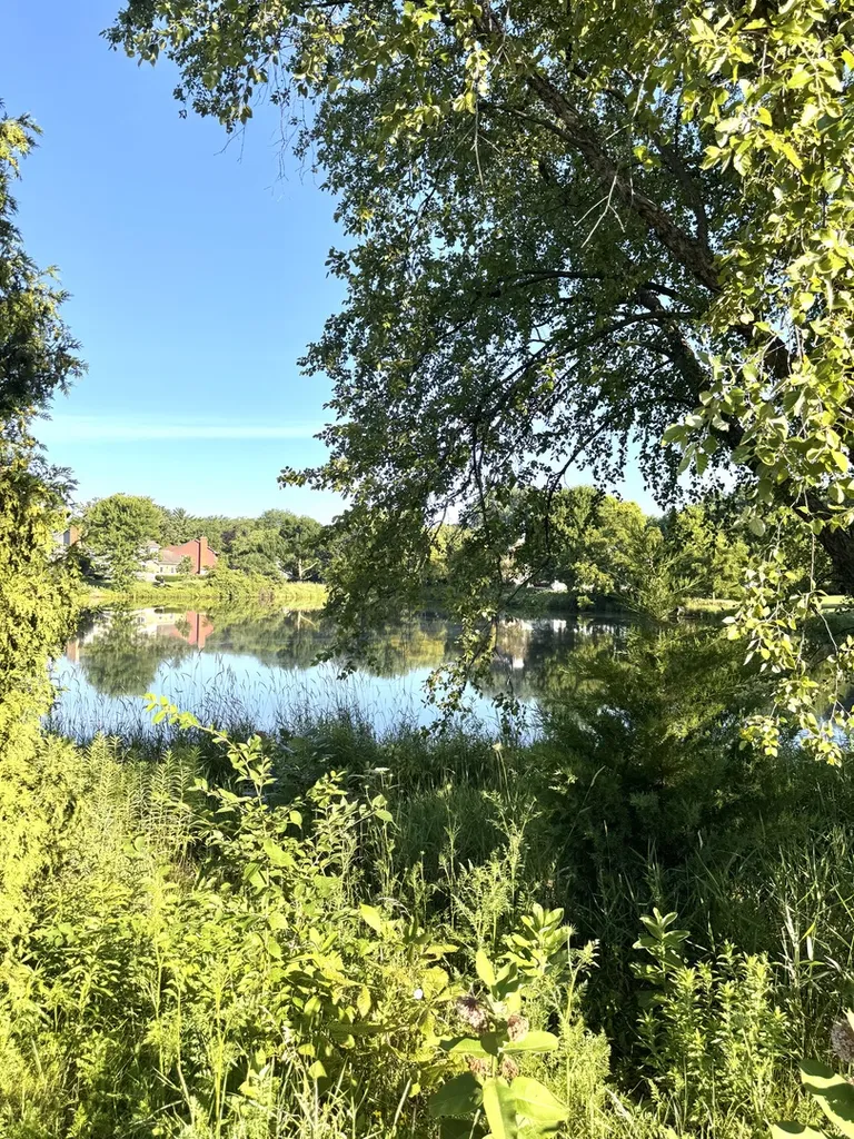 2264 Abbeywood Drive Lisle IL 60532