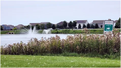 1532 Hollow Tree Lane Pingree Grove IL 60140
