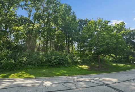 9620 Pacific Court Burr Ridge IL 60527
