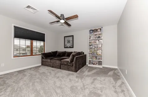 732 Edgewater Drive Morris IL 60450