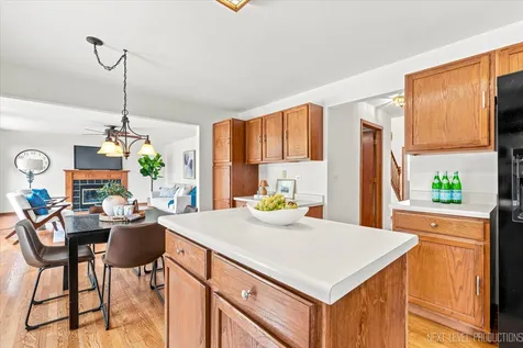 1360 Farmstead Lane Bolingbrook IL 60490