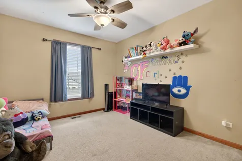 1160 South Heritage Drive Diamond IL 60416