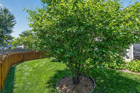 21249 West Edison Lane Plainfield IL 60544