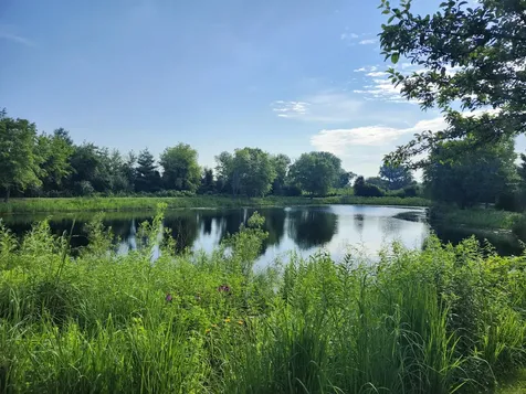 13142 West Sheffield Lane Beach Park IL 60083