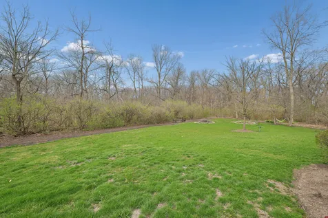 16762 South Deer Path Drive Homer Glen IL 60491