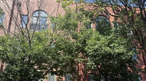 420 North Noble Street Chicago IL 60642