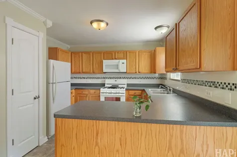 38317 North Monarch Lane Beach Park IL 60087