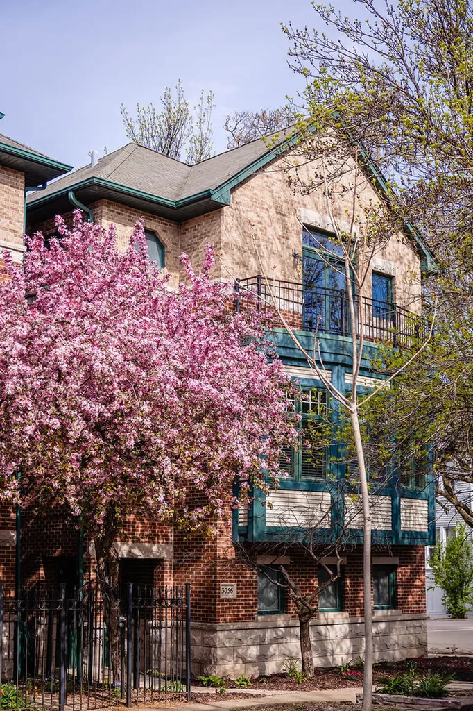 3056 North Paulina Street Chicago IL 60657