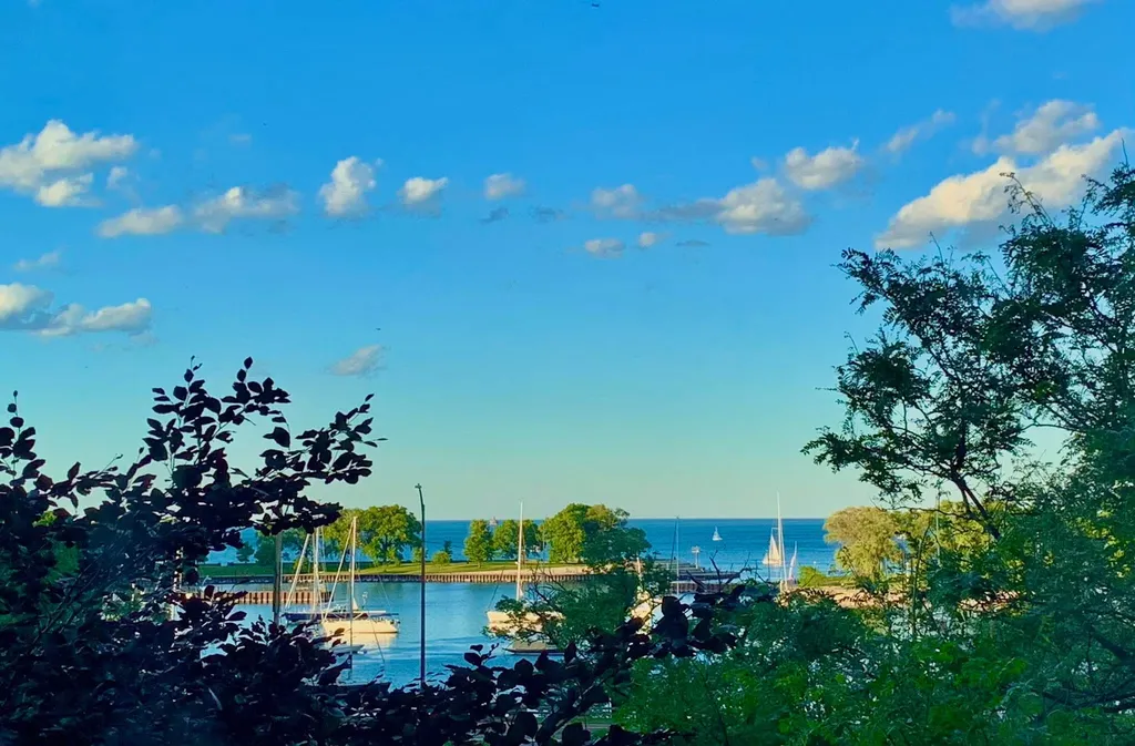 3180 North Lake Shore Drive Chicago IL 60657