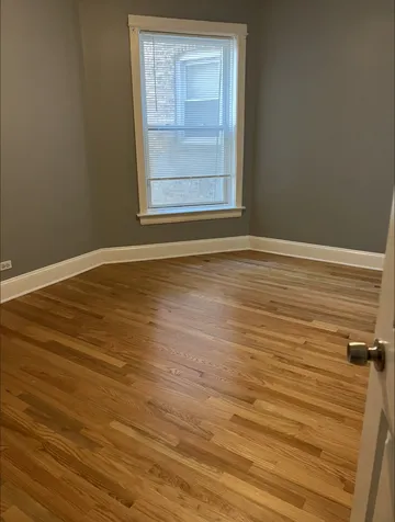 6816 South Cornell Avenue Chicago IL 60649