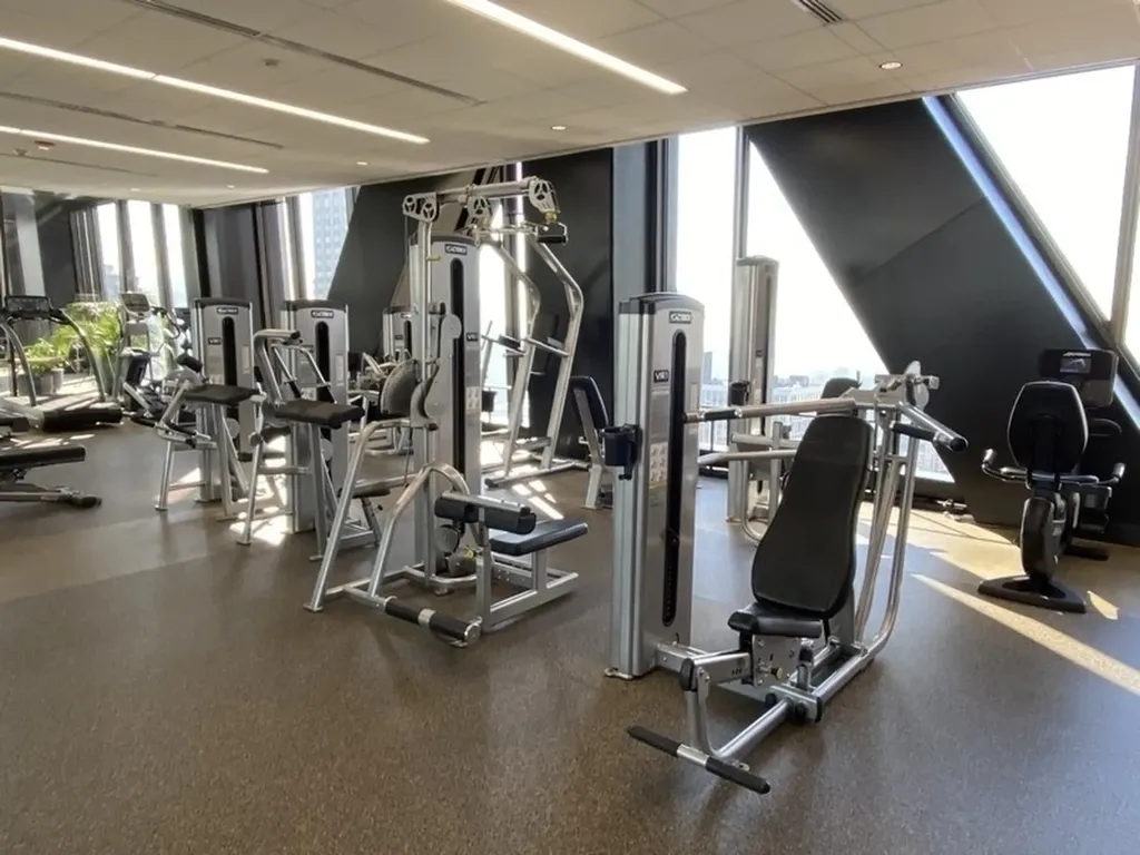 175 East Delaware Place Chicago IL 60611