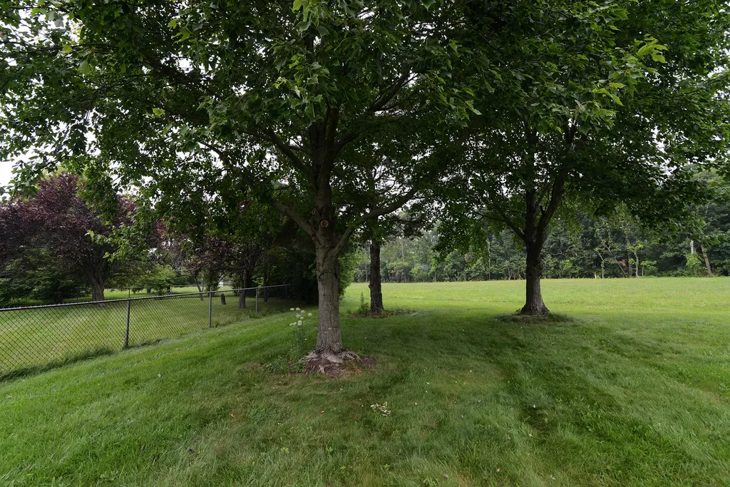 650 Lavina Court Bolingbrook IL 60440