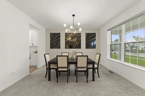 14865 South Henebry Lane Plainfield IL 60544