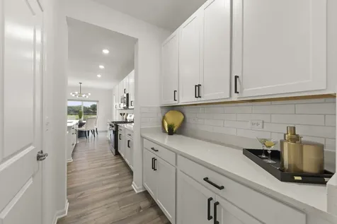 14865 South Henebry Lane Plainfield IL 60544