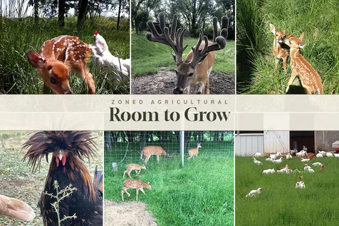 9909 Winn Road Spring Grove IL 60081
