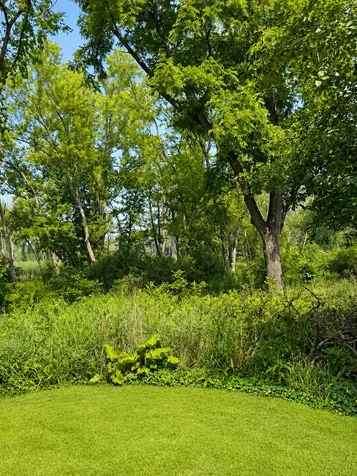 264 Biltmore Drive North Barrington IL 60010