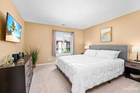 1623 Salisbury Court Wheaton IL 60187