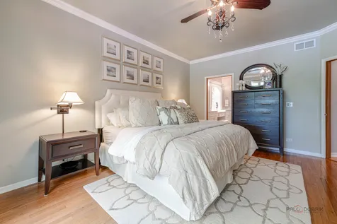 38 Lakebreeze Court Lake Zurich IL 60047