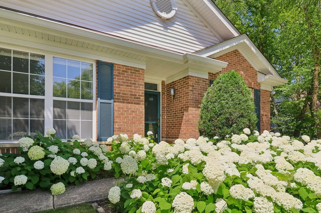 13322 South Bayberry Lane Plainfield IL 60544