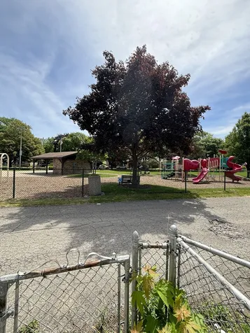 3407 Cuyler Avenue Berwyn IL 60402