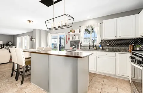 1308 Burns Court Minooka IL 60447