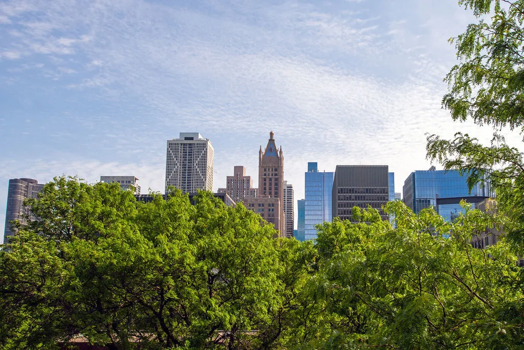 840 North Lake Shore Drive Chicago IL 60611
