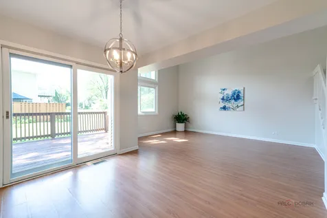 135 Brandywine Court Vernon Hills IL 60061