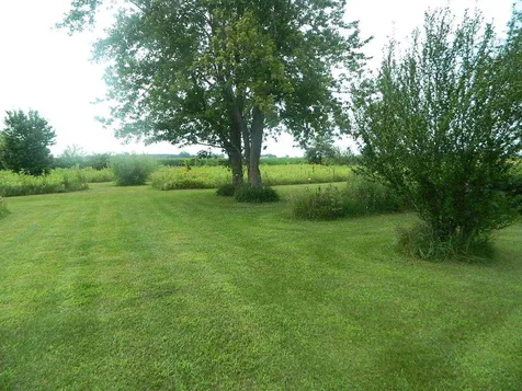3669 North 13000 Road Bonfield IL 60913