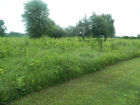 3669 North 13000 Road Bonfield IL 60913
