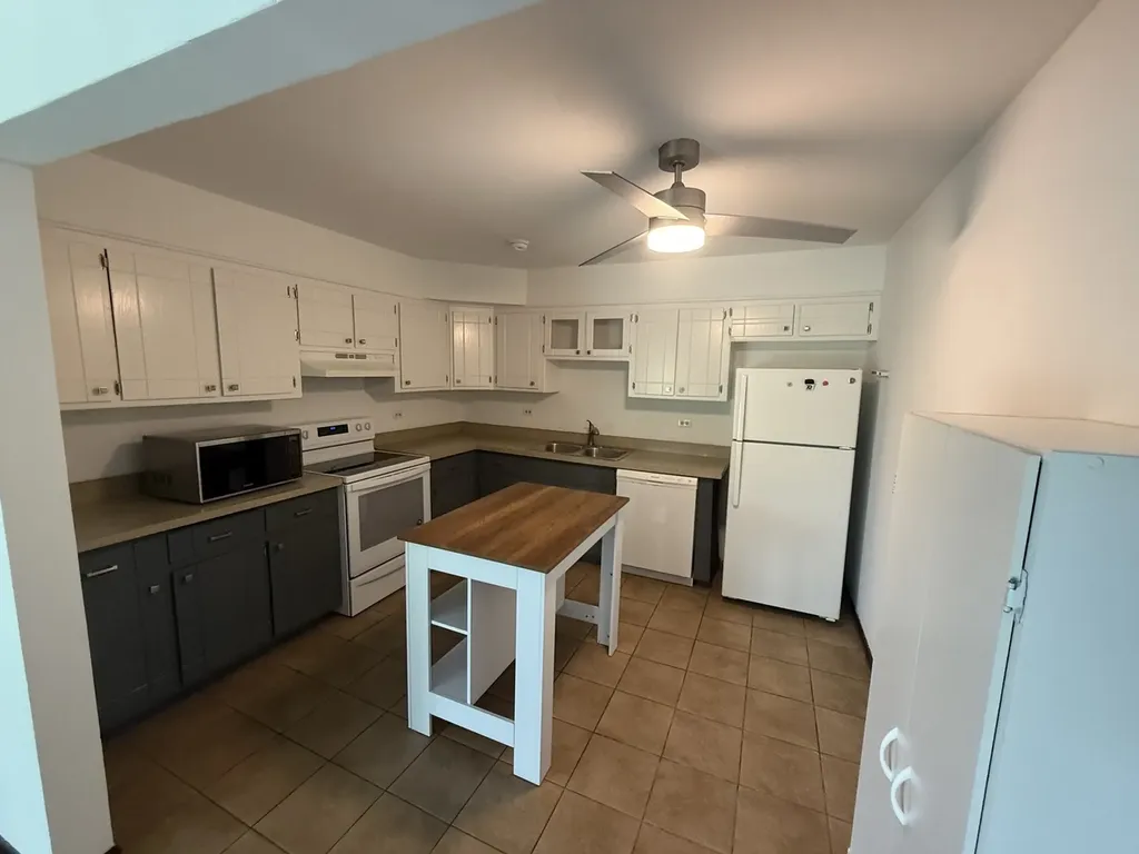 1032 Shagbark Road New Lenox IL 60451