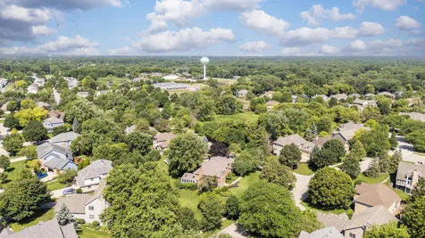 1099 Boneset Drive Crystal Lake IL 60014