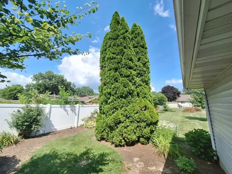 303 Prairie Street Spring Valley IL 61362