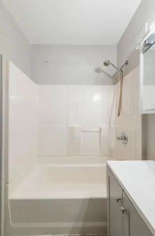 9153 South Ada Street Chicago IL 60620