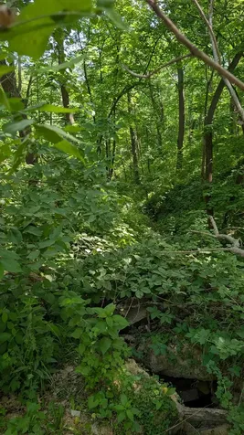 3237 West Wilderness Road Oregon IL 61061