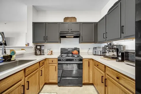 565 Blue Springs Drive Fox Lake IL 60020