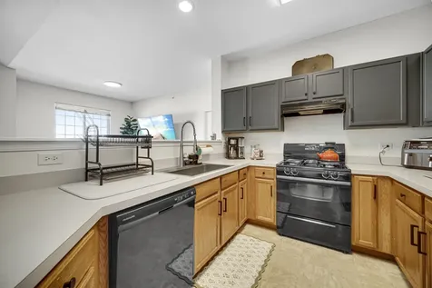 565 Blue Springs Drive Fox Lake IL 60020