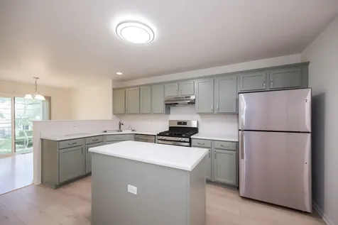 1452 Sturgeon Bay Court Schaumburg IL 60173