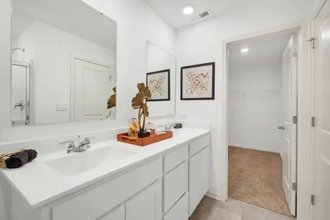 13511 South Arroyo Lane Plainfield IL 60544