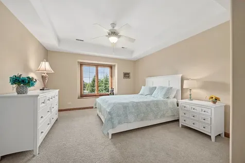 16159 West Red Cloud Drive Lockport IL 60441