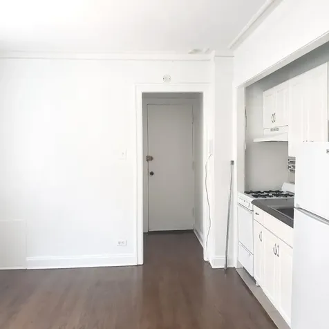 1064 West Thorndale Avenue Chicago IL 60660