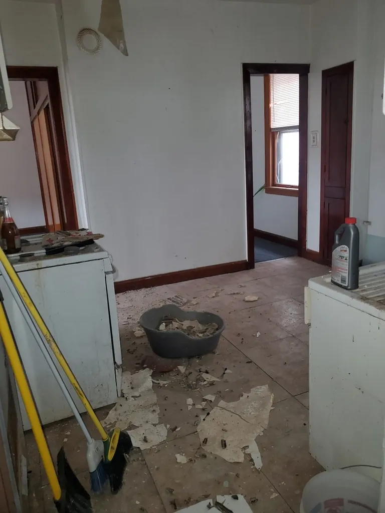 2704 South Hillock Avenue Chicago IL 60608