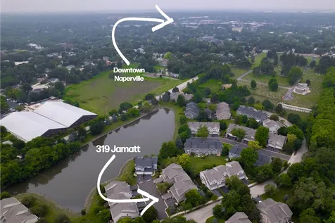 319 Jamatt Court Naperville IL 60540