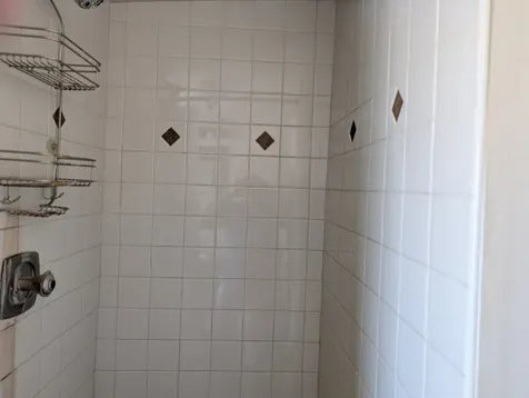 10754 Lyman Avenue Chicago Ridge IL 60415