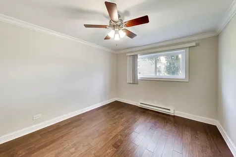 919 North Boxwood Drive Mount Prospect IL 60056