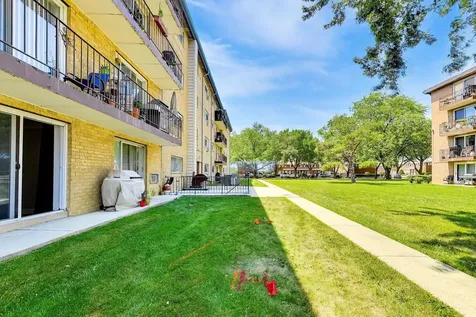 919 North Boxwood Drive Mount Prospect IL 60056