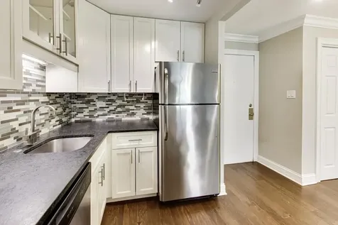 919 North Boxwood Drive Mount Prospect IL 60056