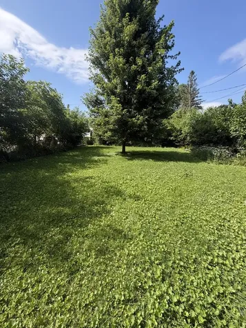 8130 45TH Place Lyons IL 60534