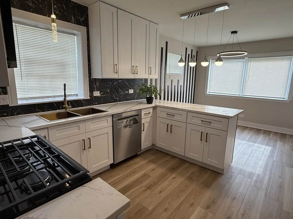 8642 South Indiana Avenue Chicago IL 60619