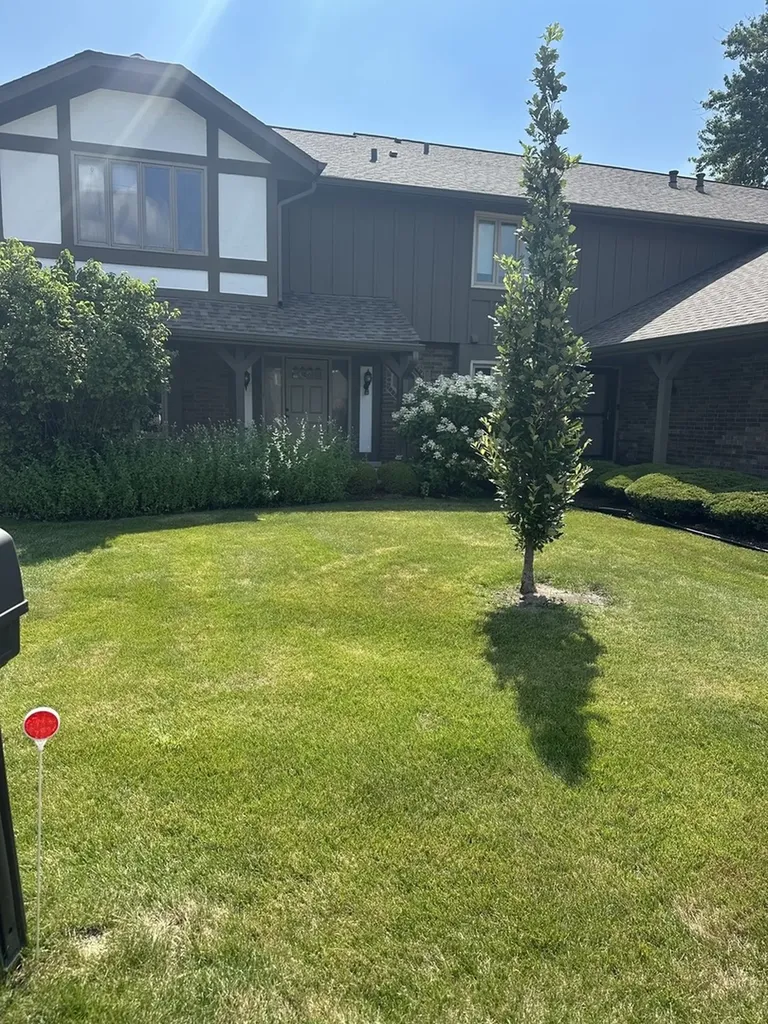 13985 Millbank Drive Orland Park IL 60462