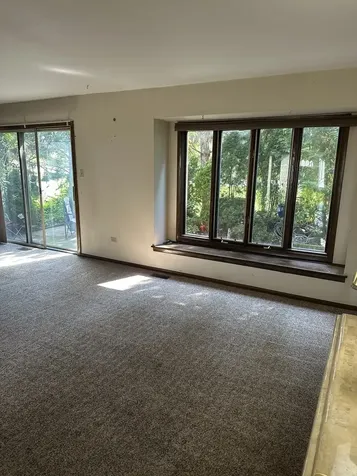 13985 Millbank Drive Orland Park IL 60462